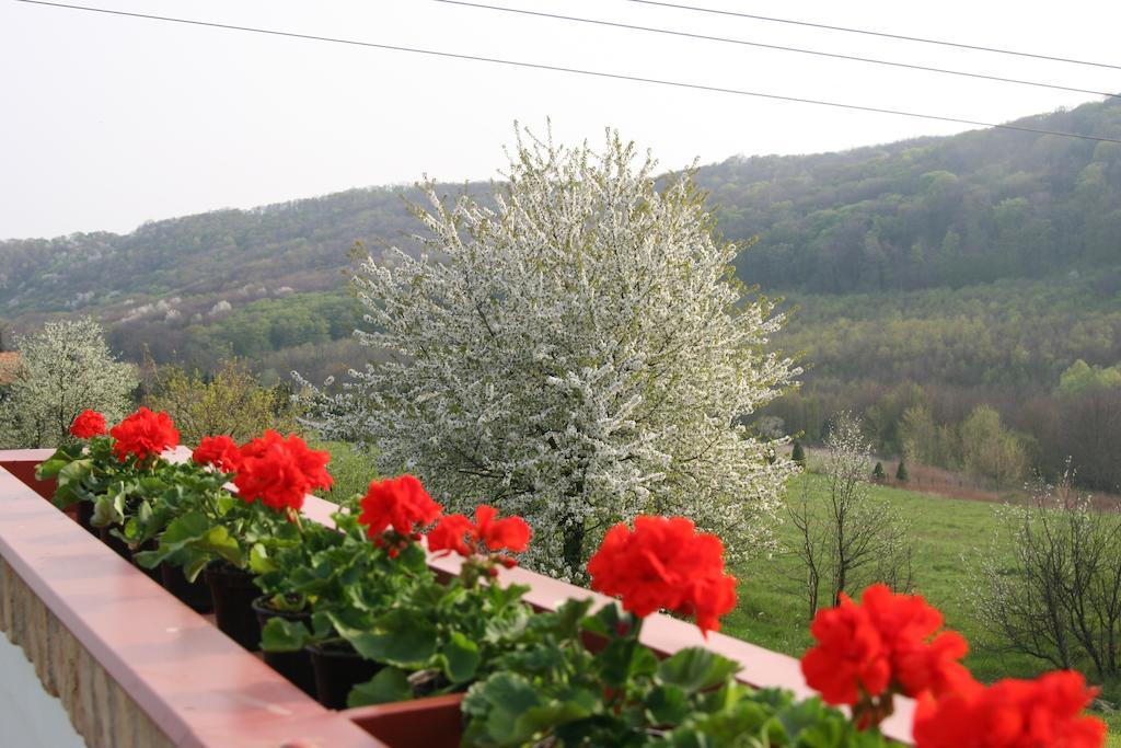 Palos Resort Zalacsany Luaran gambar
